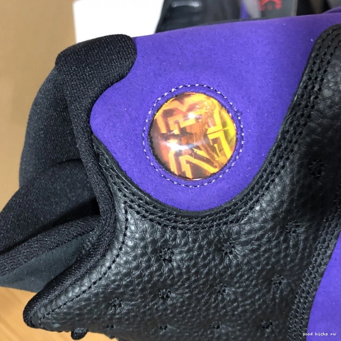 DJ5982-015 13 Court Air Jordan Purple 0715